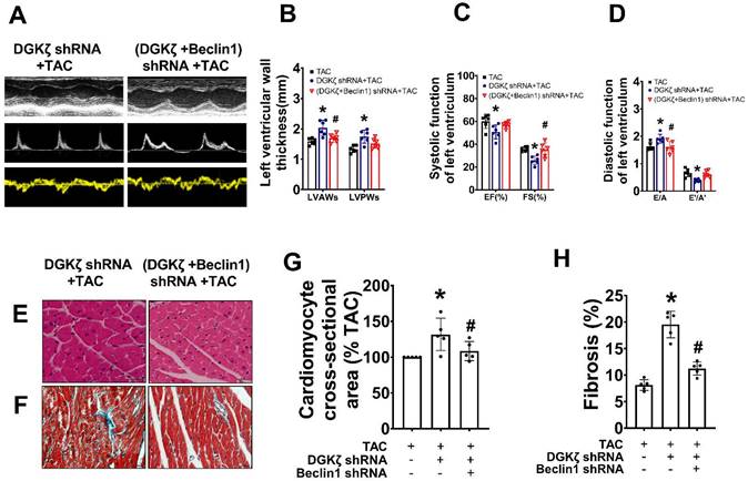 Int J Med Sci Image