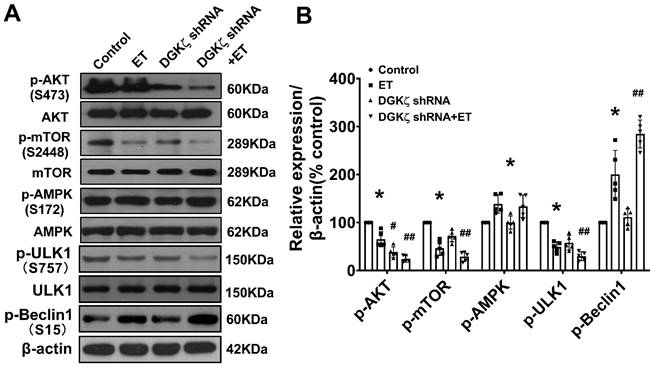 Int J Med Sci Image