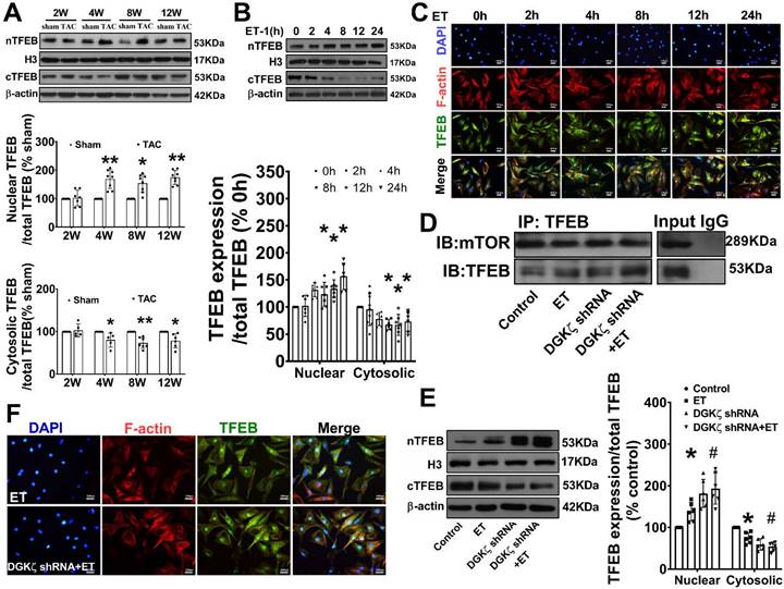 Int J Med Sci Image