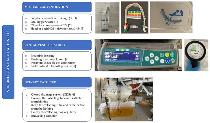 Int J Med Sci Image