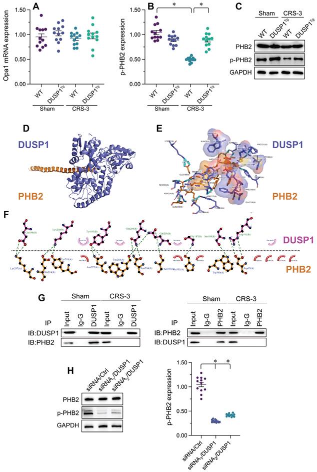 Int J Med Sci Image