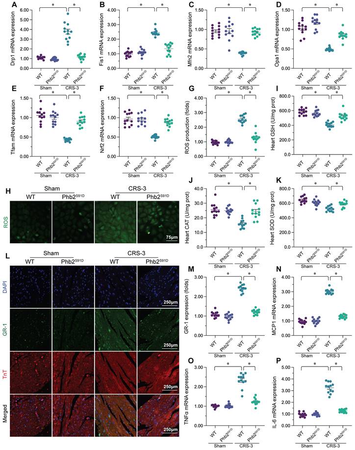 Int J Med Sci Image