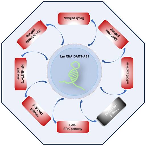 Int J Med Sci Image