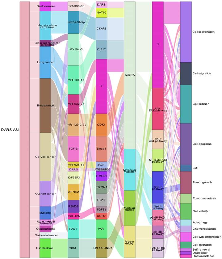 Int J Med Sci Image