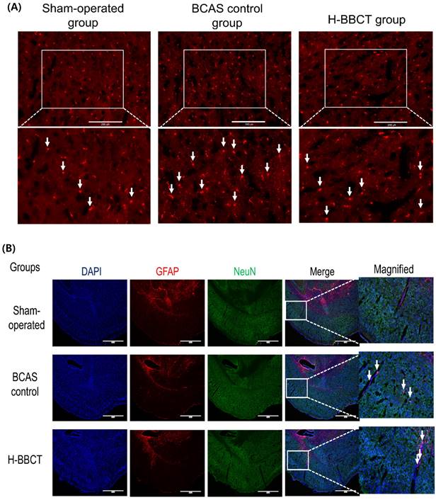 Int J Med Sci Image