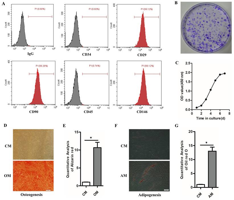 Int J Med Sci Image