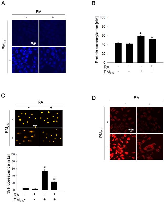 Int J Med Sci Image