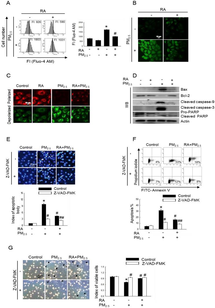 Int J Med Sci Image