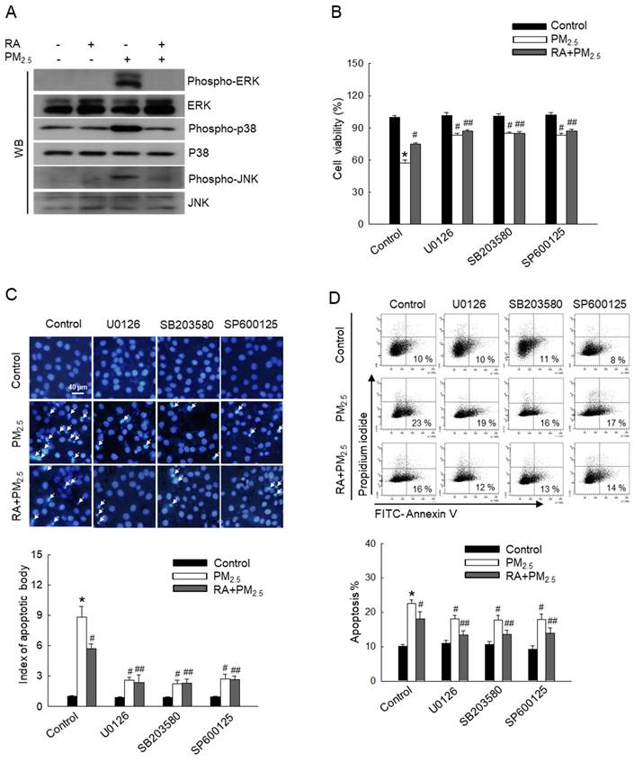 Int J Med Sci Image