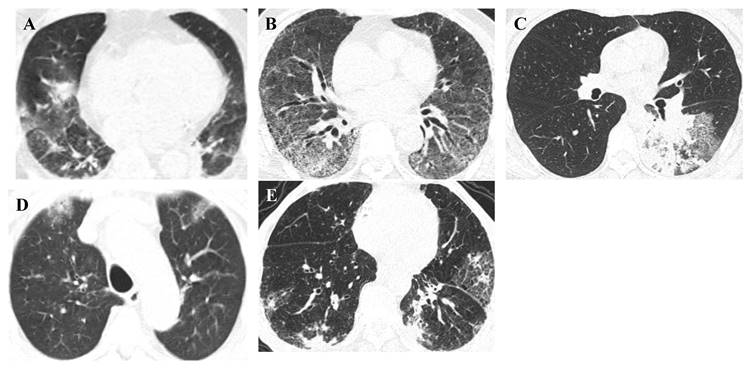 Int J Med Sci Image