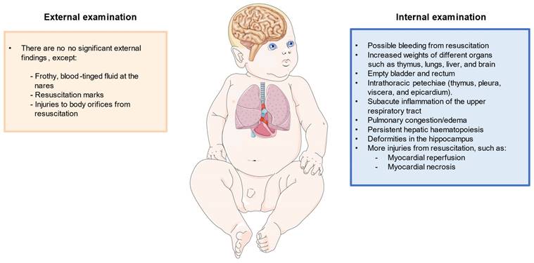 Int J Med Sci Image