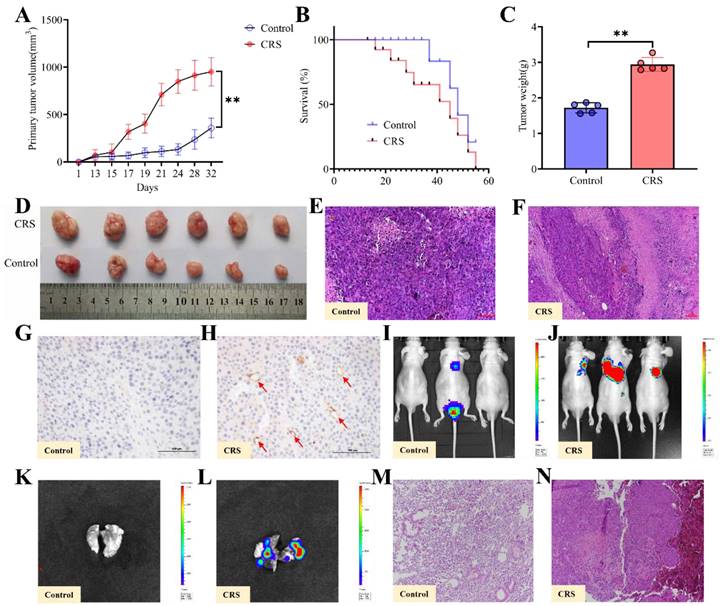 Int J Med Sci Image