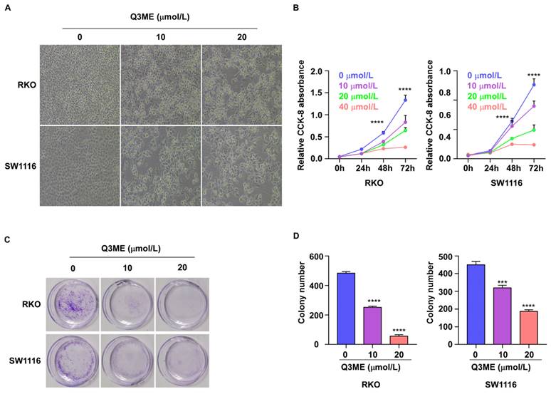 Int J Med Sci Image