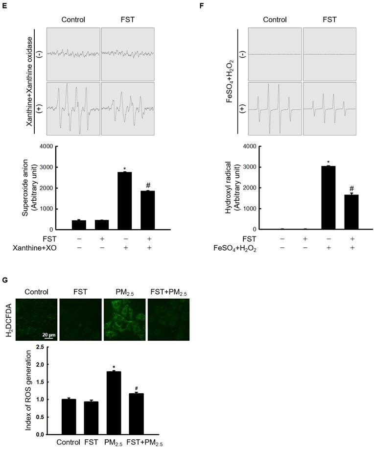 Int J Med Sci Image