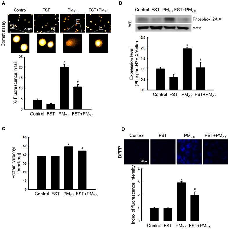 Int J Med Sci Image