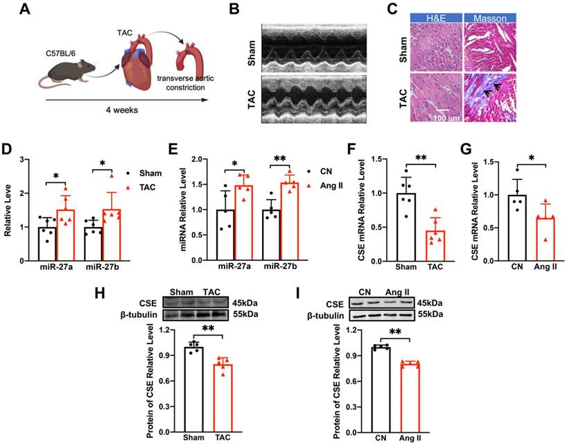 Int J Med Sci Image