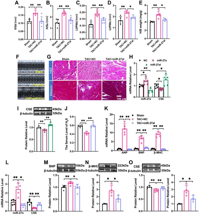 Int J Med Sci Image