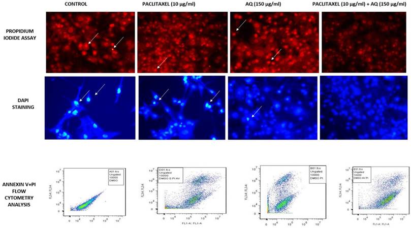 Int J Med Sci Image