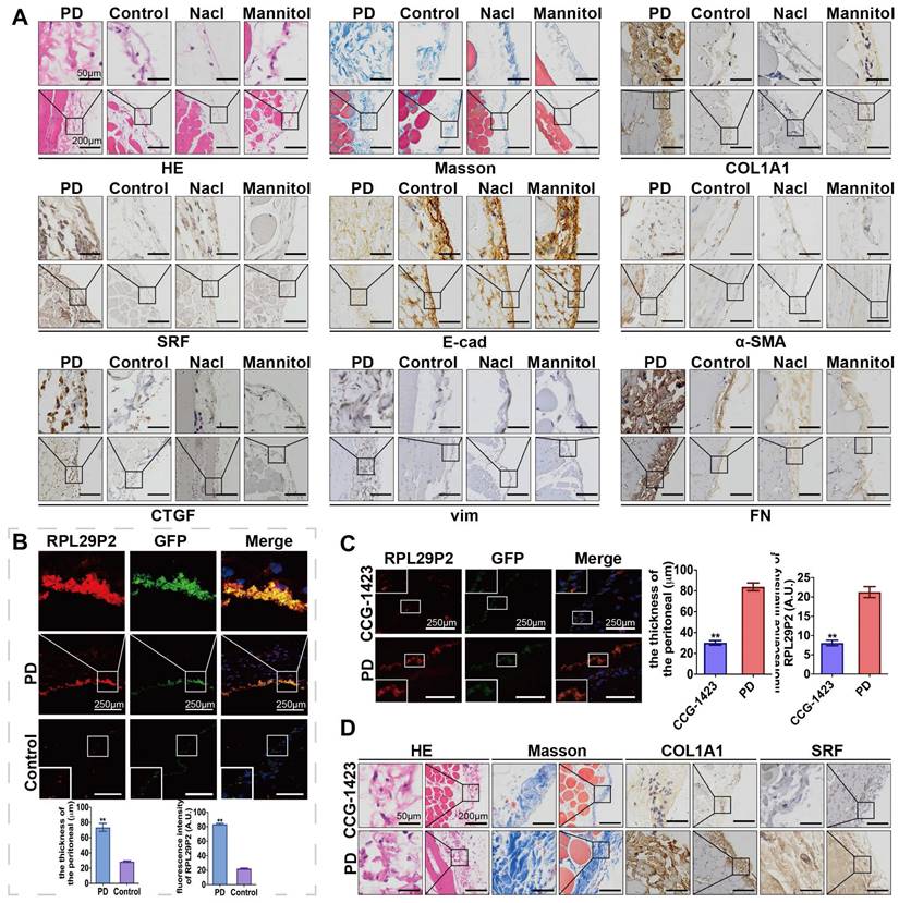 Int J Med Sci Image