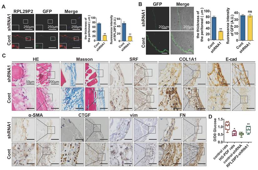 Int J Med Sci Image