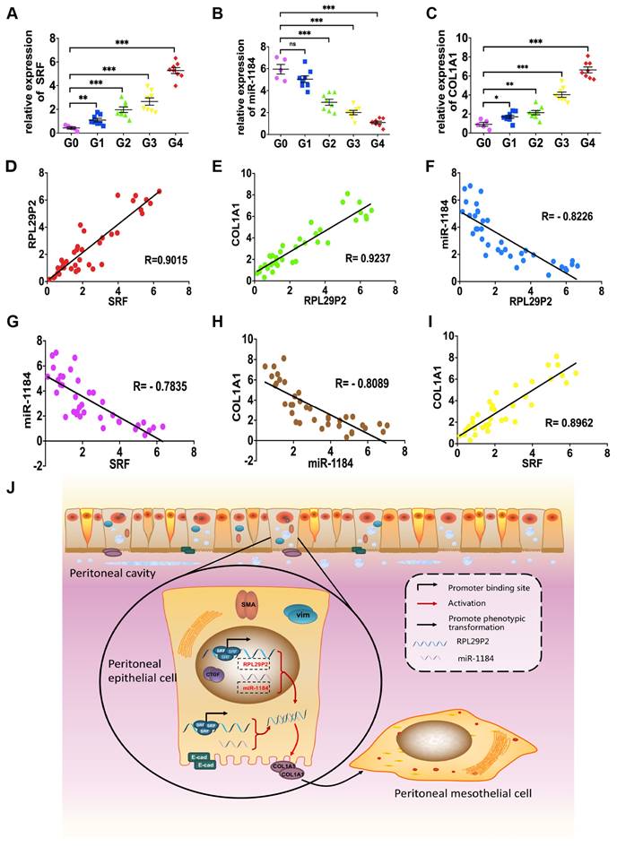 Int J Med Sci Image