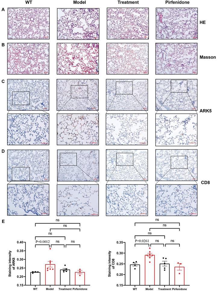 Int J Med Sci Image