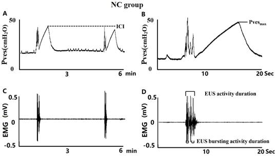 Int J Med Sci Image