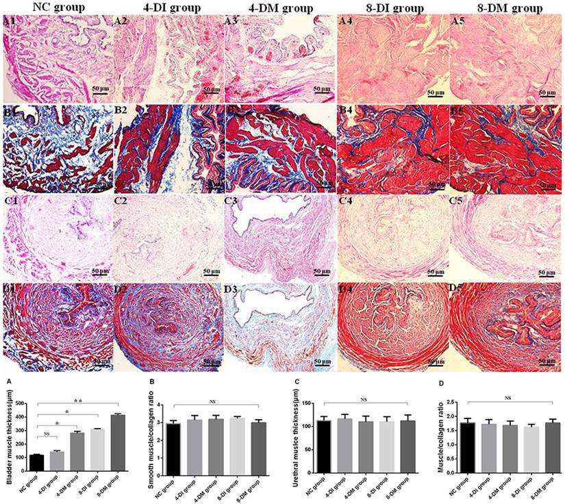 Int J Med Sci Image