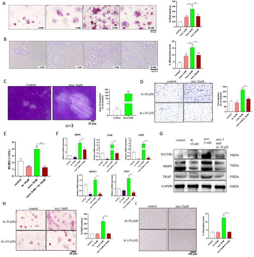 Int J Med Sci Image