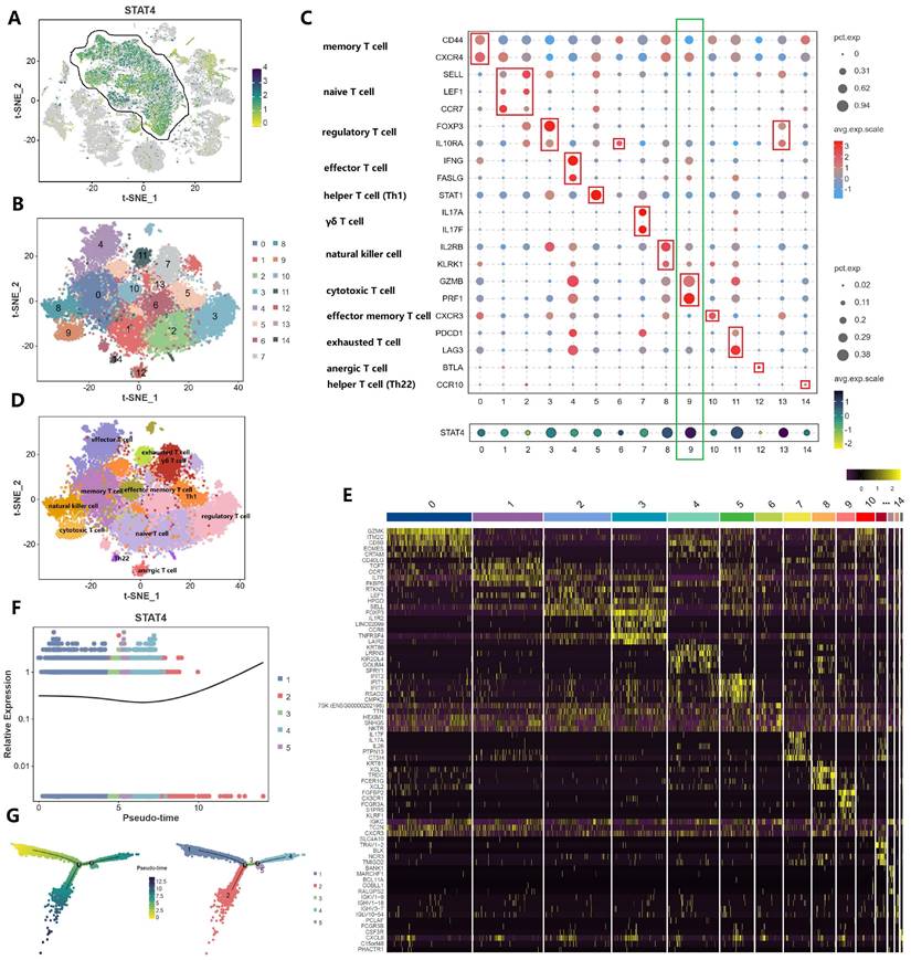 Int J Med Sci Image