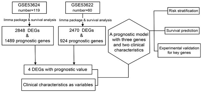 Int J Med Sci Image