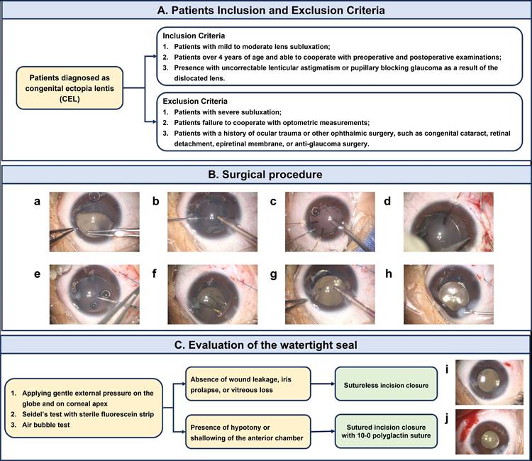 Int J Med Sci Image