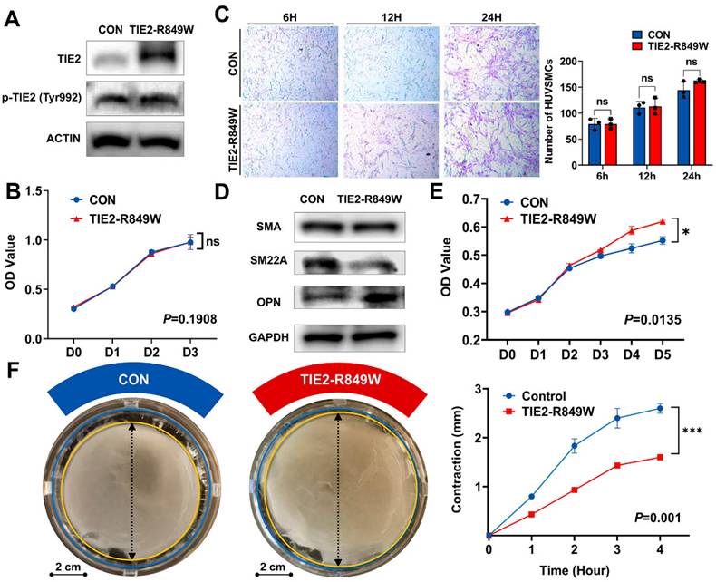 Int J Med Sci Image