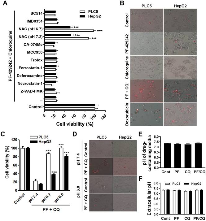 Int J Med Sci Image