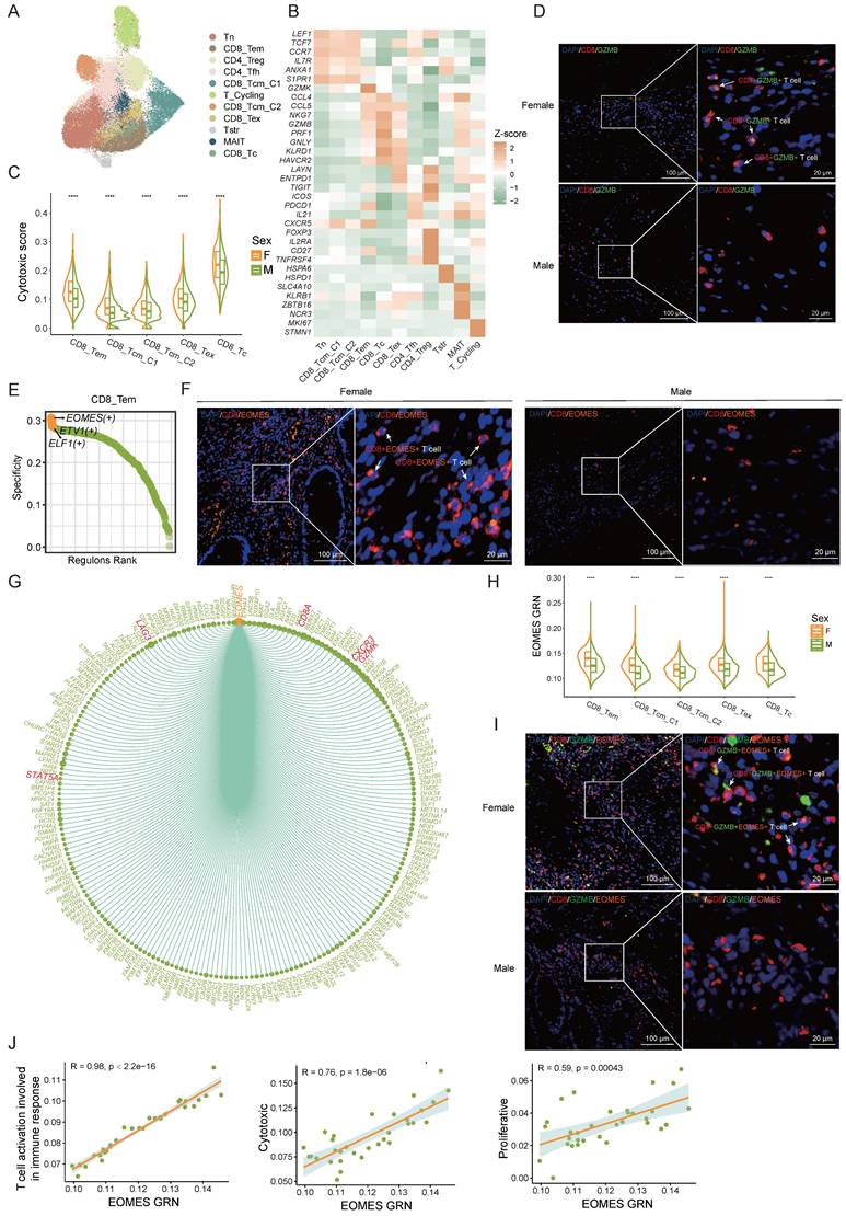 Int J Med Sci Image