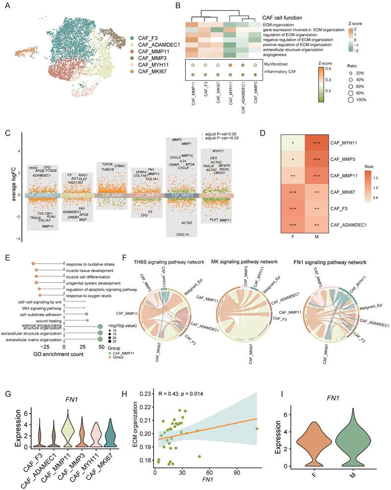 Int J Med Sci Image
