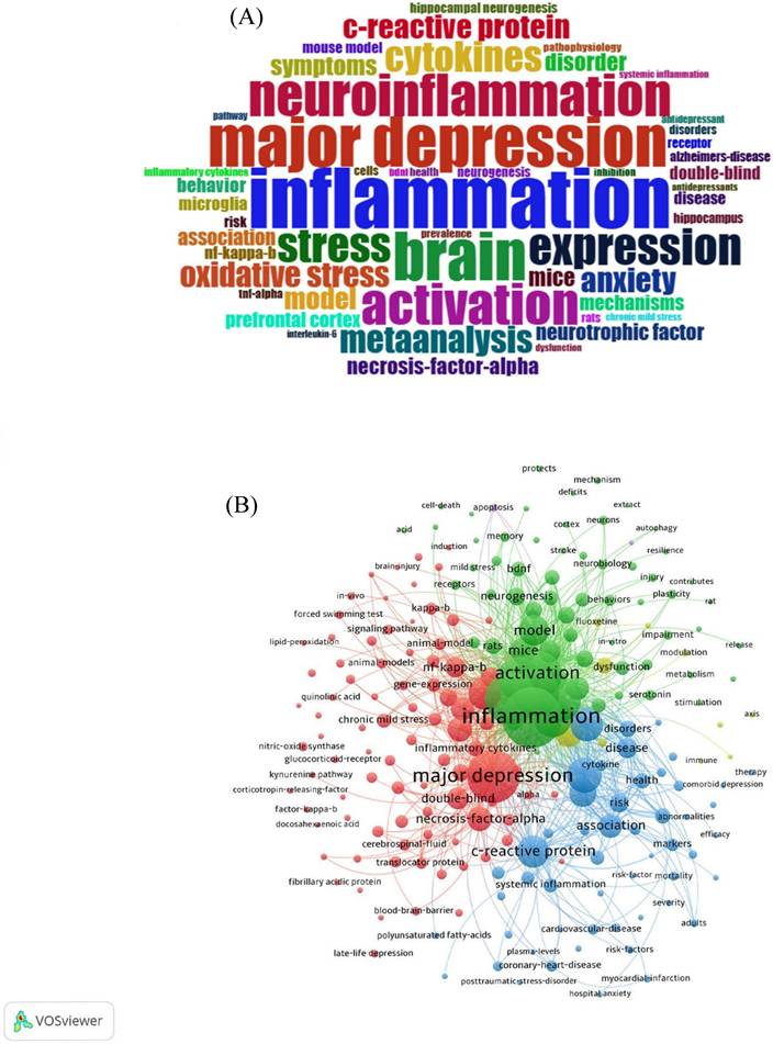 Int J Med Sci Image