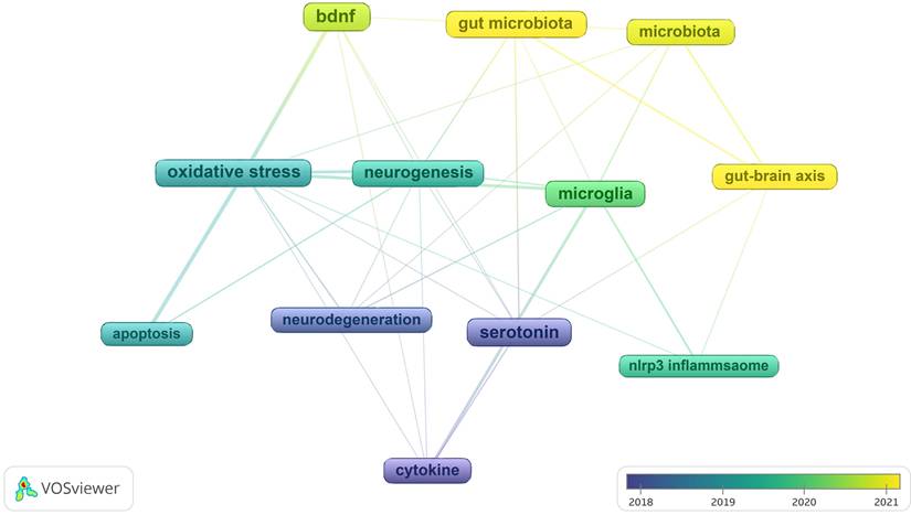 Int J Med Sci Image