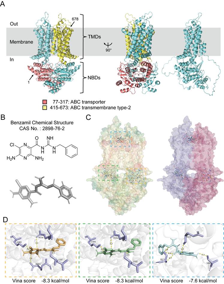 Int J Med Sci Image