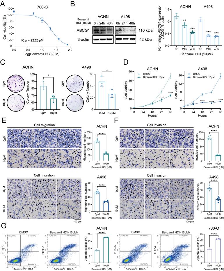 Int J Med Sci Image