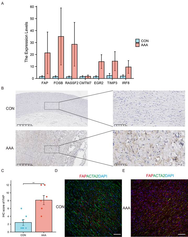 Int J Med Sci Image