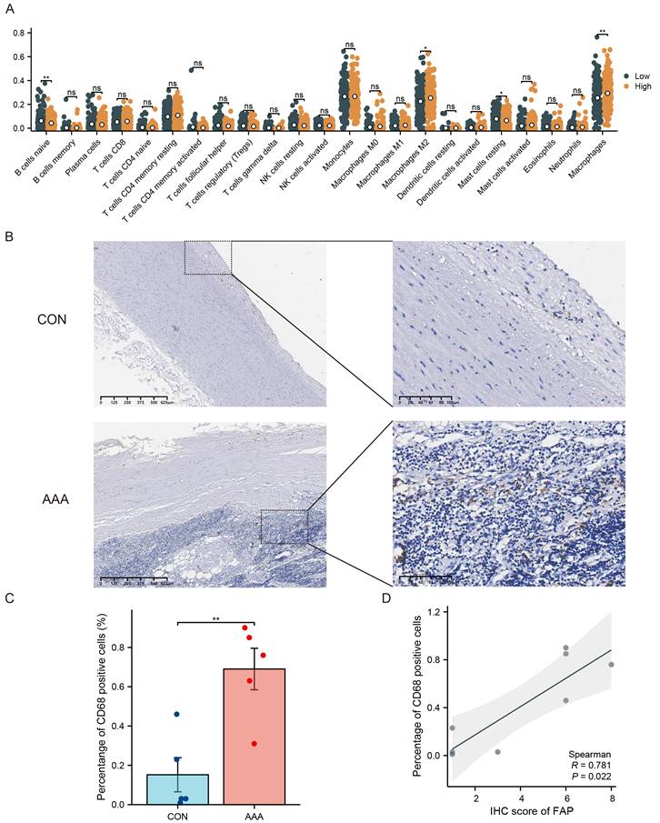 Int J Med Sci Image