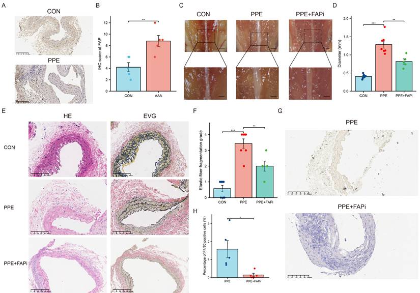 Int J Med Sci Image