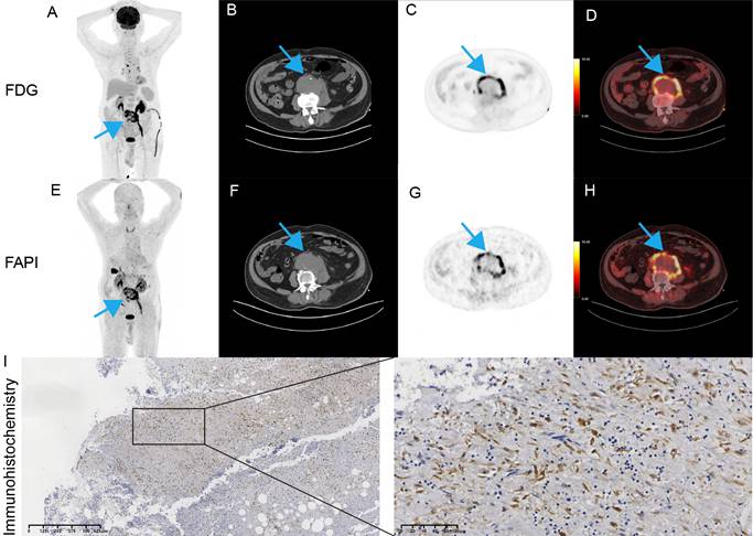 Int J Med Sci Image