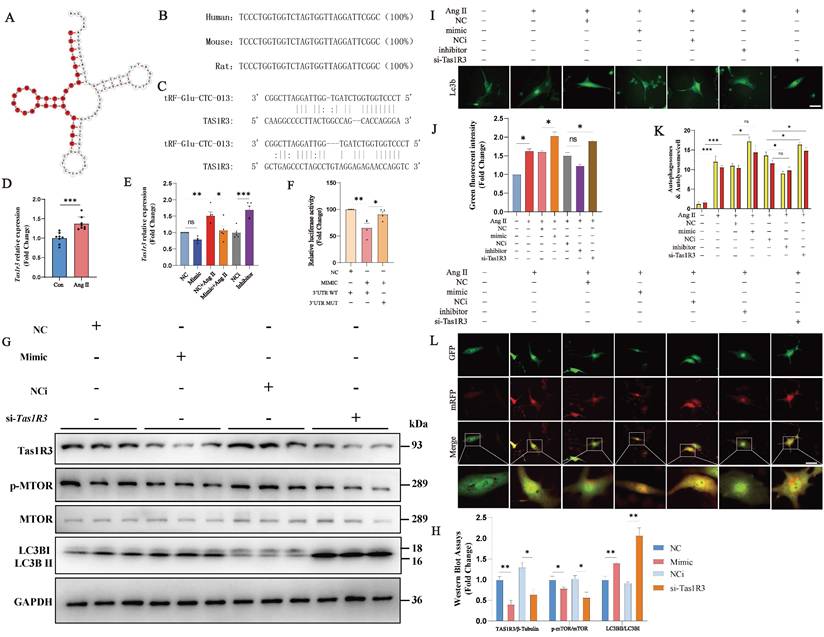 Int J Med Sci Image