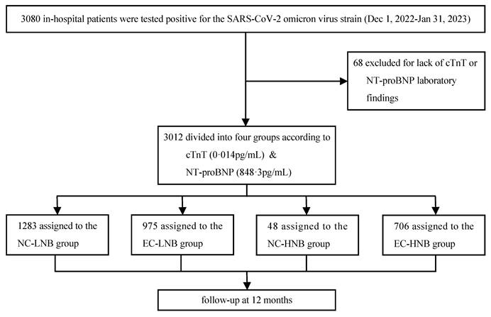 Int J Med Sci Image