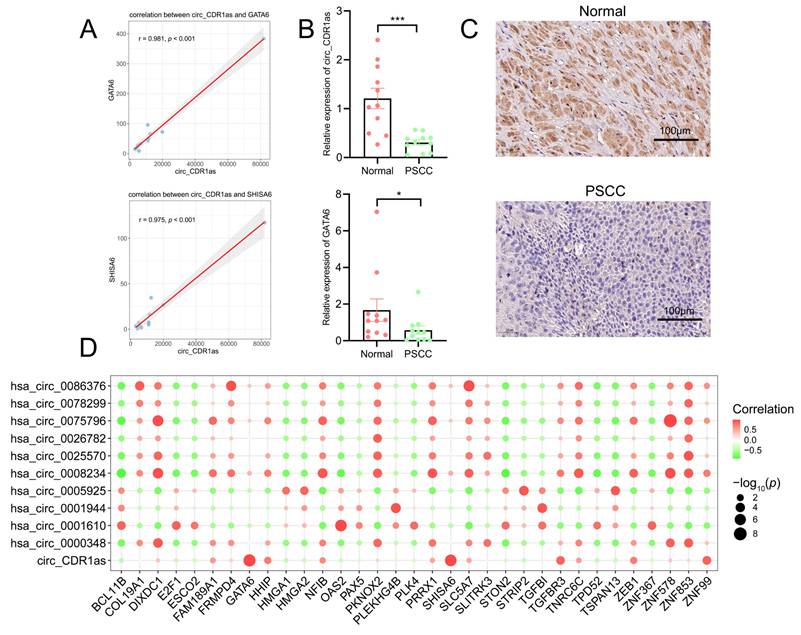 Int J Med Sci Image
