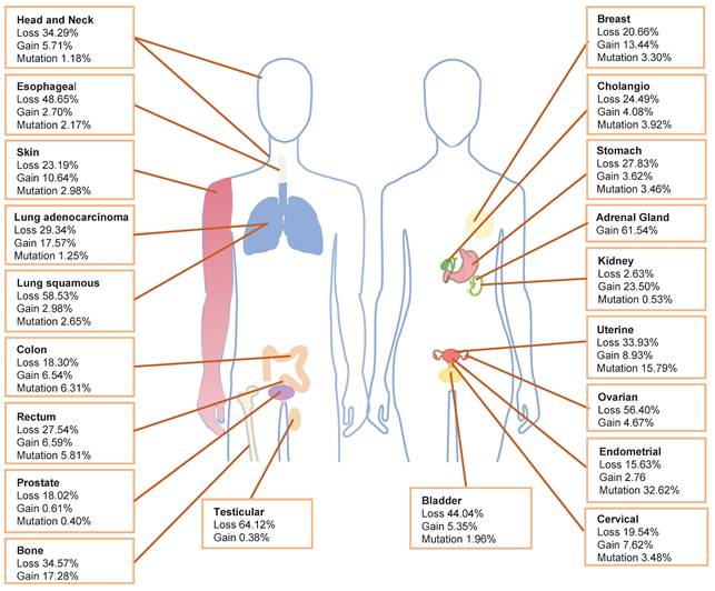 Int J Med Sci Image