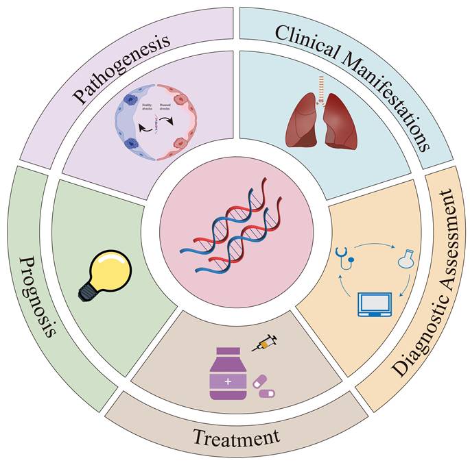 Int J Med Sci Image