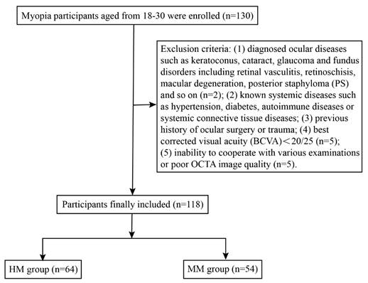 Int J Med Sci Image